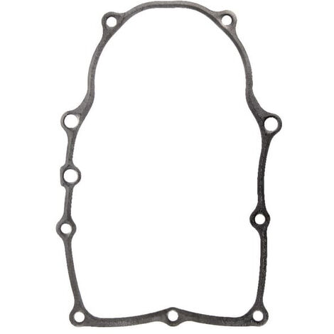 Joint de carter de vilebrequin BRIGGS ET STRATTON 846487