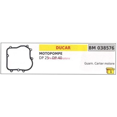 Joint de carter DUCAR motopompe DP 25 40 038576