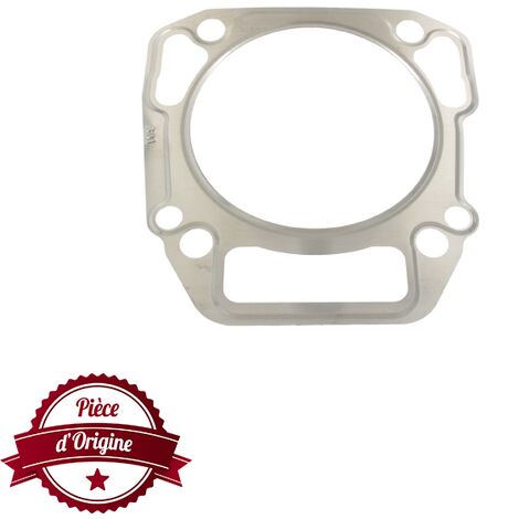 Joint de culasse BRIGGS ET STRATTON 710539