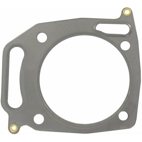 Joint de culasse BRIGGS ET STRATTON 842622