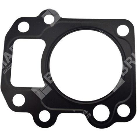 Joint de culasse pour motopompes DUCAR 96024 - 049589