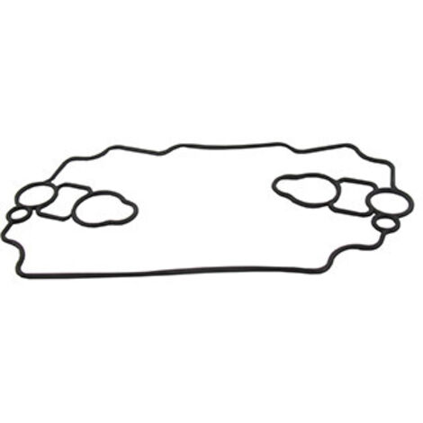 Joint de cuve BRIGGS ET STRATTON 693711