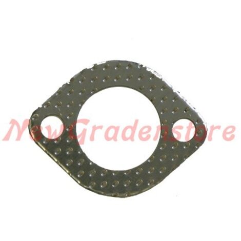Joint de membrane d'échappement BRIGGS & STRATTON Quantum 35 69181 - 271918 320191