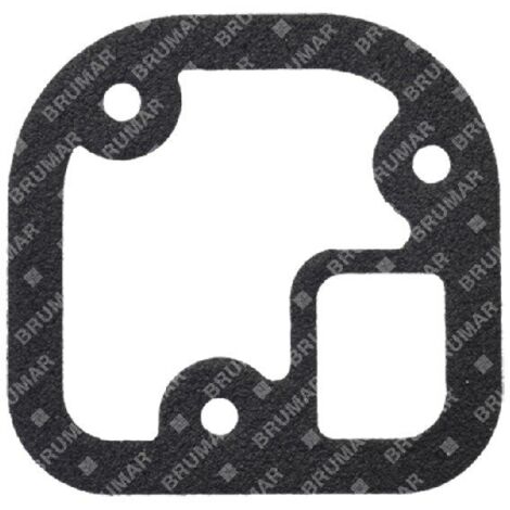 Joint de plaque de carter moteur DAYE - DAYEE - 054948