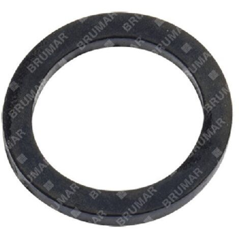 Joint de raccordement tuyau/lance ASP2515 - 056791