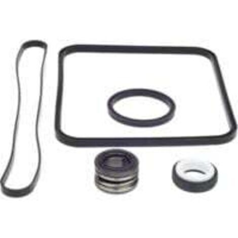 Joint de rechange pour pompe Super Pump pour kit Hayward Go compatible avec les modèles SP1600, SP2600 Regular, X, VSP. SPX1600TRA SP1600Z2 PS-201 SPX1600R SPX160 0S SPX1 600T Piscine