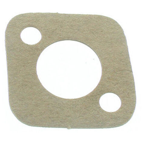 Joint de réservoir BRIGGS et STRATTON 270250
