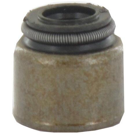 Joint de soupape BRIGGS ET STRATTON 690968