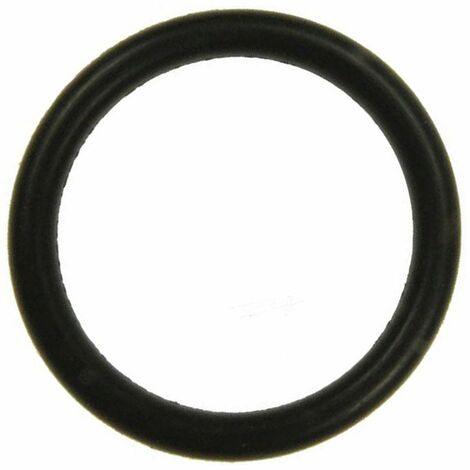 Joint etancheite bouchon (63634680) Nettoyeur vapeur KARCHER