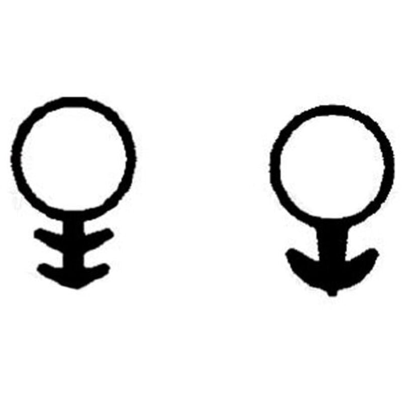 Joint en silicone blanc Sr-6 100Mts F0-(G-C)