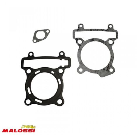 Joint moteur Malossi pour Scooter Yamaha 125 X-City Après 2008
