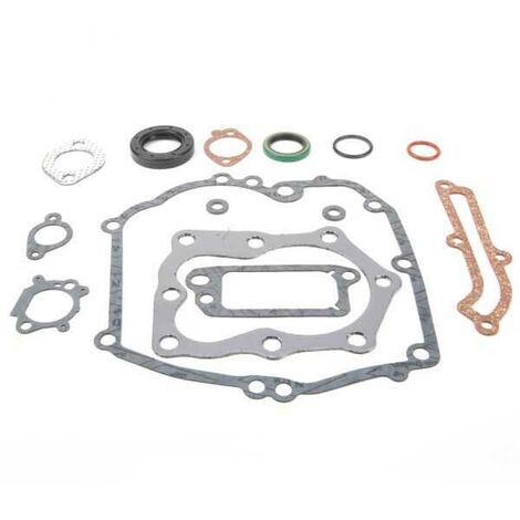 Joint pour Briggs & Stratton Quantum 12 CID