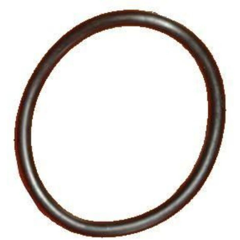 Joint pour projecteur piscine weltico 60857 Acis