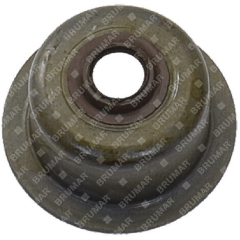 Joint spi de soupape pour tondeuse à gazon BLX - 058331
