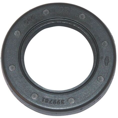 Joint spi moteur Briggs et Stratton Serie 122672, Intek et Quantum - 399781S