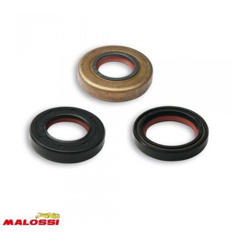 Joint spi moteur Malossi pour Moto Generic 50 Trigger 6615757