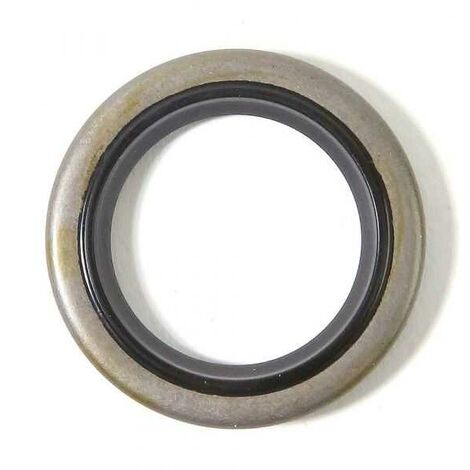 Joint spi pour moteur Briggs & Stratton N°299819 et 89660