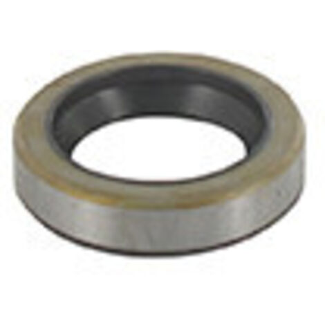 Joint Spi Pour Moteur Briggs & Stratton Se Monte Sur Les Modèles: 08p502 - Origine: 391483s, 391483