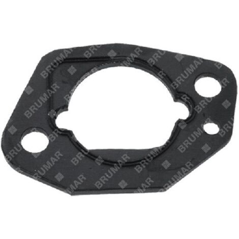 Joint spi pour tondeuse à gazon DAYE - DAYEE - 027782