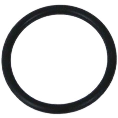 PENTAIR Joint Torique 1 05 Pour Fleck 5600