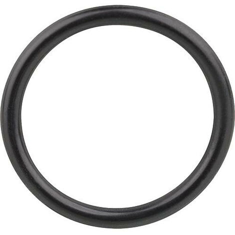 Joint torique 21,89 x 2,62mm