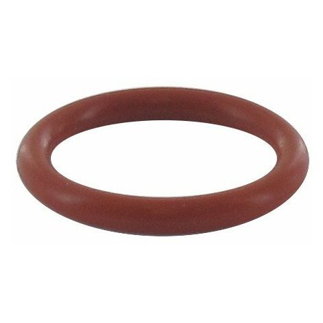 Joint torique BRIGGS ET STRATTON 692296