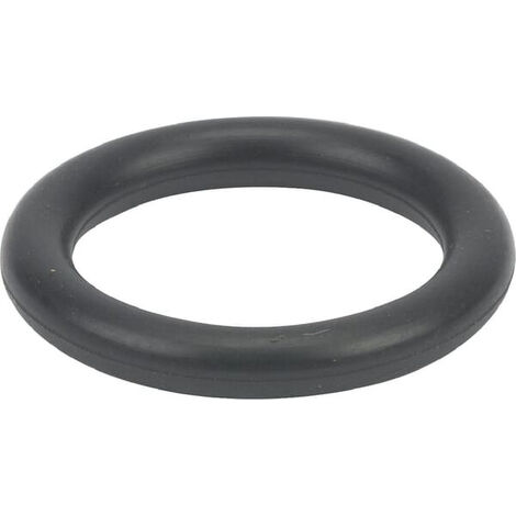 Joint torique BRIGGS ET STRATTON 699725