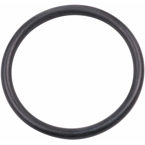 Joint torique de clapet - diamètre 39 mm / 33 mm x 3 mm - Sachet de 20 pièces - Watts industries