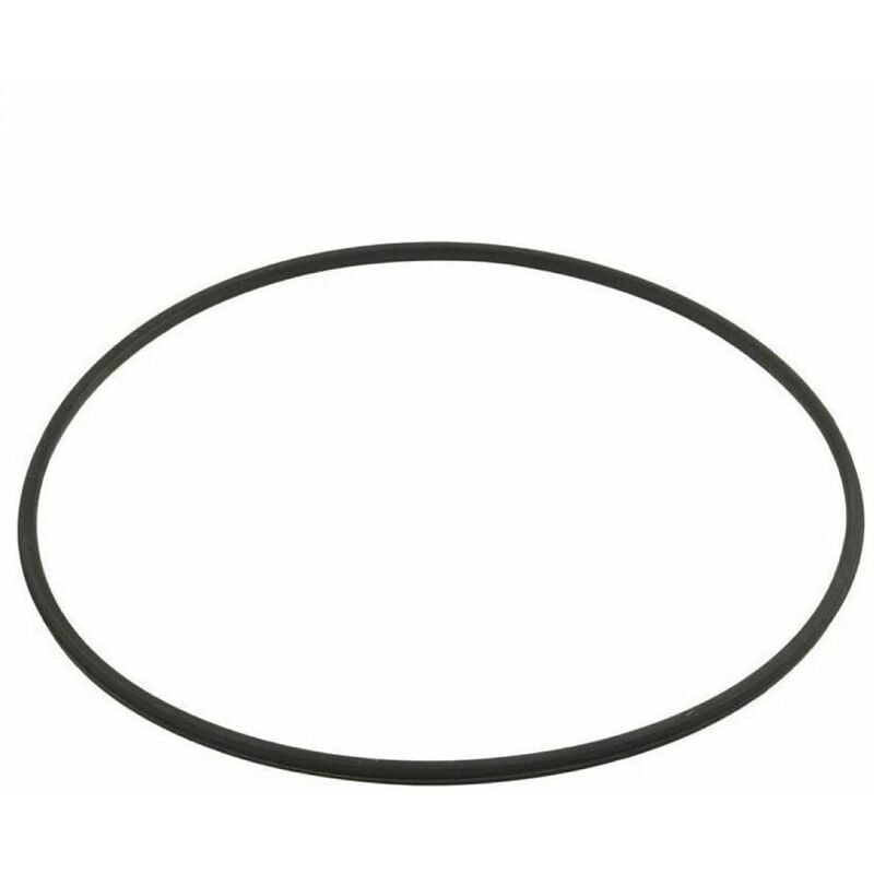 Hayward - Joint torique de corps de filtre - Noir - DEX2422Z2