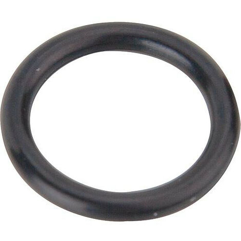 Joint torique Kludi 16,3 x 2 noir