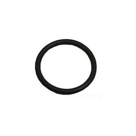Joint torique pompe de vidange c00054917 pour Lave-vaisselle Ariston