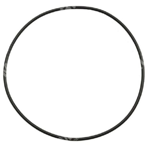 JOINT TORIQUE pour électropompes ROVER POMPE COMPATIBLE - 004706
