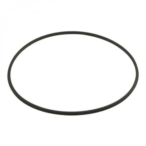 Joint torique pour filtre à cartouche SwimClear – Compatible modèles C100SE, C150SE, C200SE – Pièce d’origine Hayward