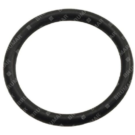 Joint torique pour pompes BERTOLINI COMPATIBLES - 003319