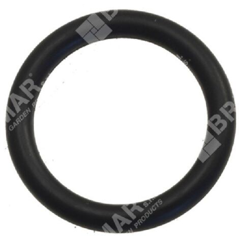 Joint torique pour pompes BERTOLINI COMPATIBLES - 007693