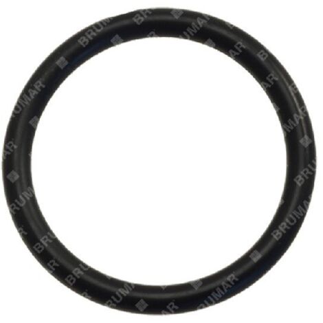 Joint torique pour pompes BERTOLINI COMPATIBLES - 016183