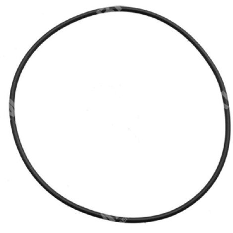 Joint torique pour pompes BERTOLINI COMPATIBLES - 023367
