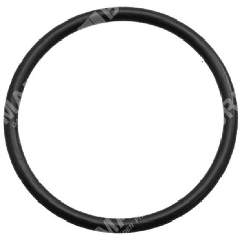 Joint torique pour pompes BERTOLINI COMPATIBLES - 023372