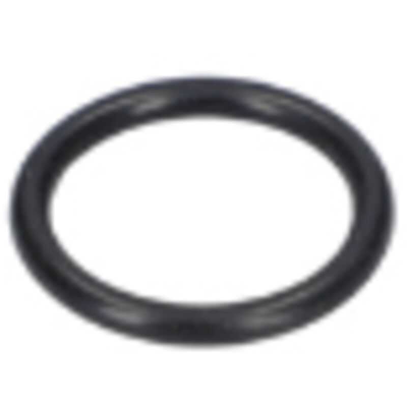 Joint torique pour ponceuse excentrique AdvancedOrbit 18 BOSCH 1619PA9891