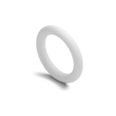 Joint torique RS PRO, Ø int. 21.9mm, Ø ext. 25.9mm, épais. 2mm, en PTFE ( Prix pour Sachet de 2 )