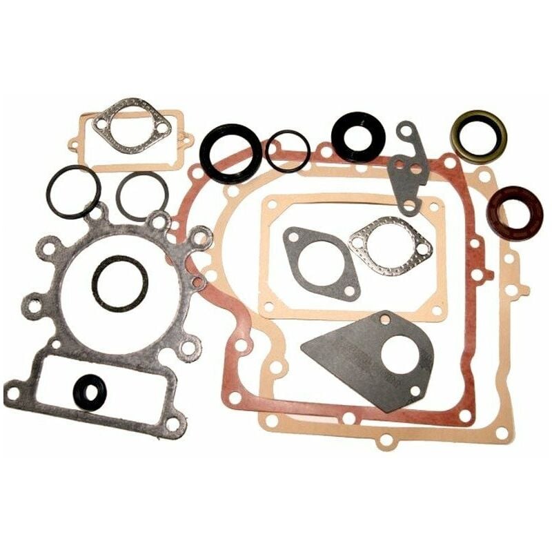 Joints moteur BRIGGS ET STRATTON 495993