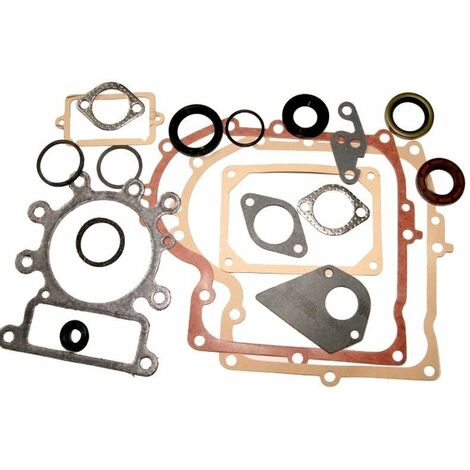 Joints moteur BRIGGS ET STRATTON 495993