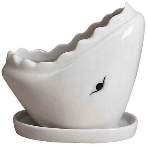 Joli pot à succulentes requin avec soucoupe, céramique pour cactus, fleurs, bonsaï, récipient animal pour plantes d'intérieur.
