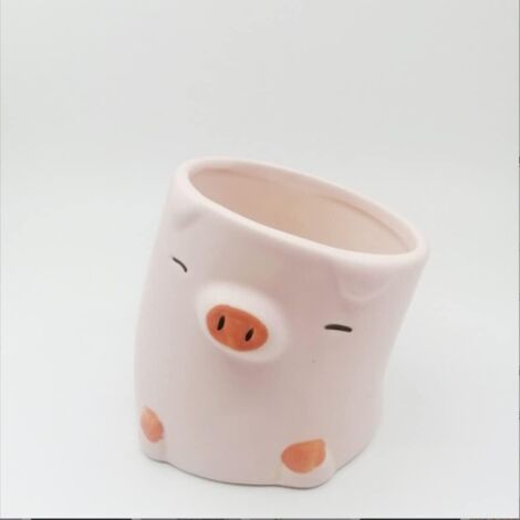Jolis Pots de Fleurs Animaux Canards et Cochon pour Plantes Succulentes Bureau