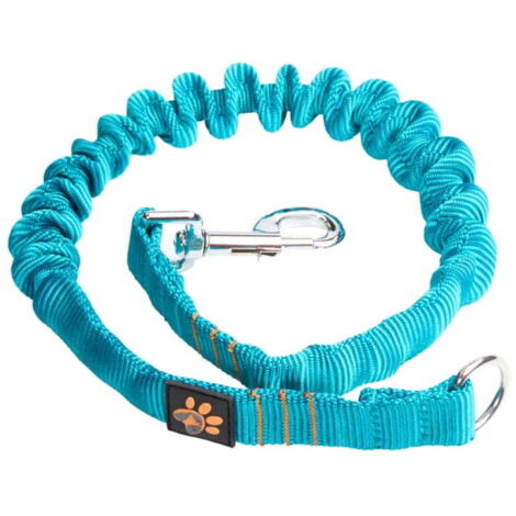 JoQu® Starker Stoßdämpfer für mittelgroße Hunde, Türkis