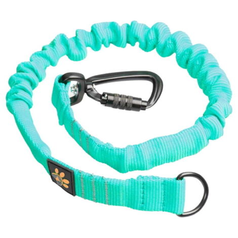 JoQu® Strong Shock Absorber per cani di grossa taglia, Menta