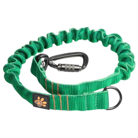 JoQu® Strong Shock Absorber per cani di grossa taglia, verde