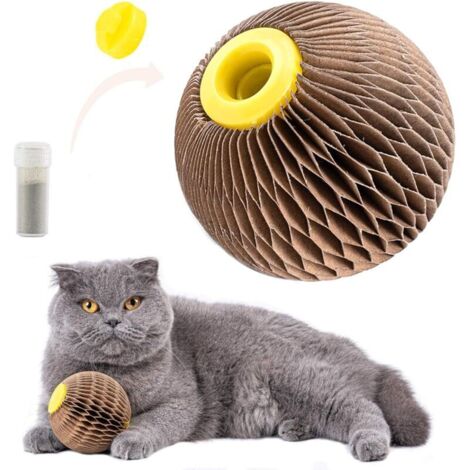Jouet à l'herbe à chat pour chats, rechargeable, à gratter, fidèle compagnon de jeu pour chatons, réduit l'obésité et la solitude