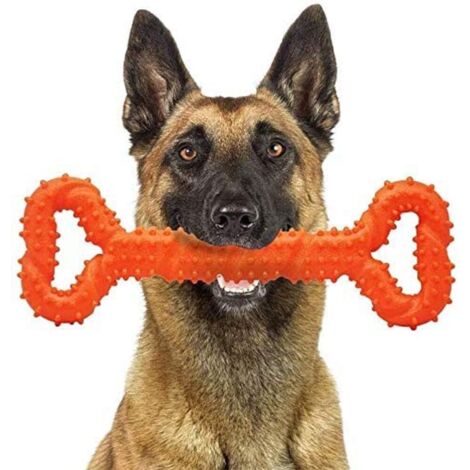 Jouet à mâcher agressif pour chien, jouet durable pour changer les dents et stimuler l'énergie