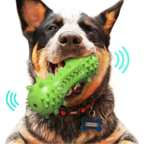 Jouet à Mâcher - Chien - Bâton de Nettoyage - Caoutchouc - Résistant - Vert